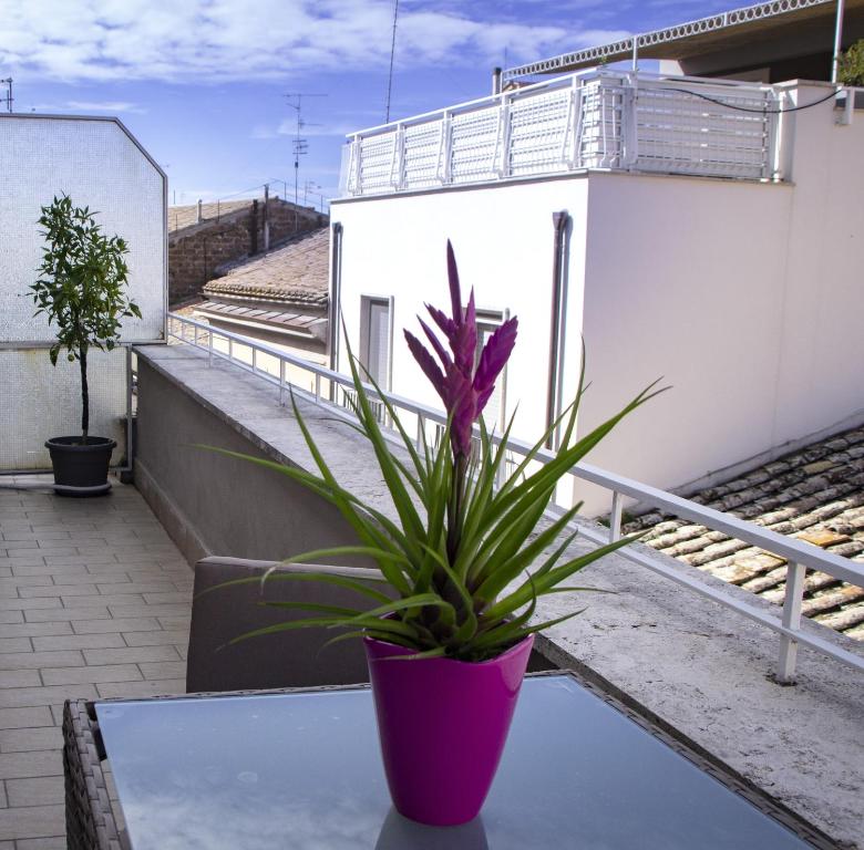 Vista dalla terrazza